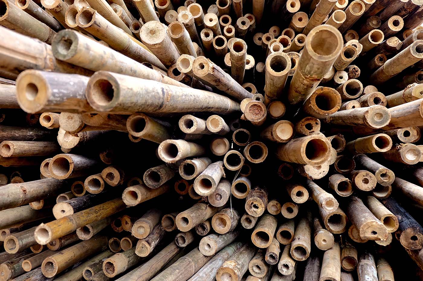 Bamboo Flute Lessons Online