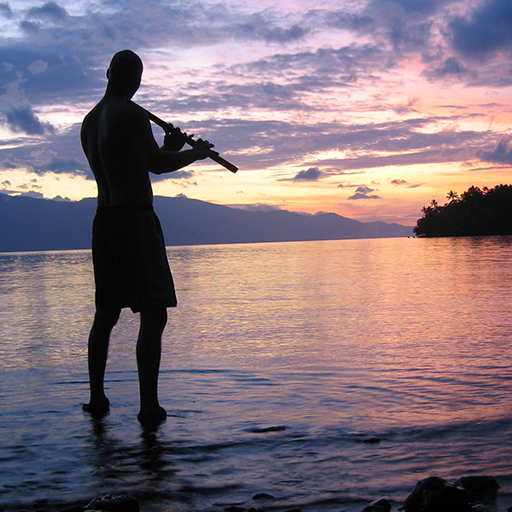 Bansuri Bliss Kerry Kriger